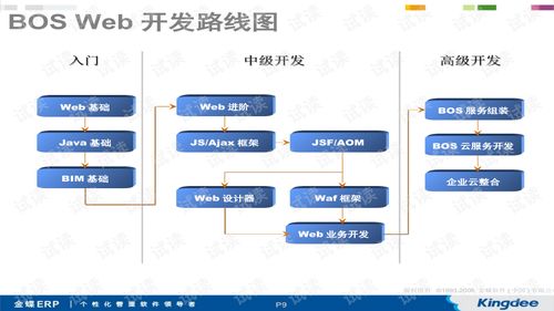 基于金蝶bosweb开发平台的技术 java文档类资源 csdn下载